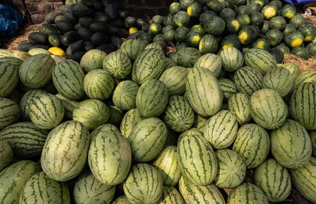 Melons